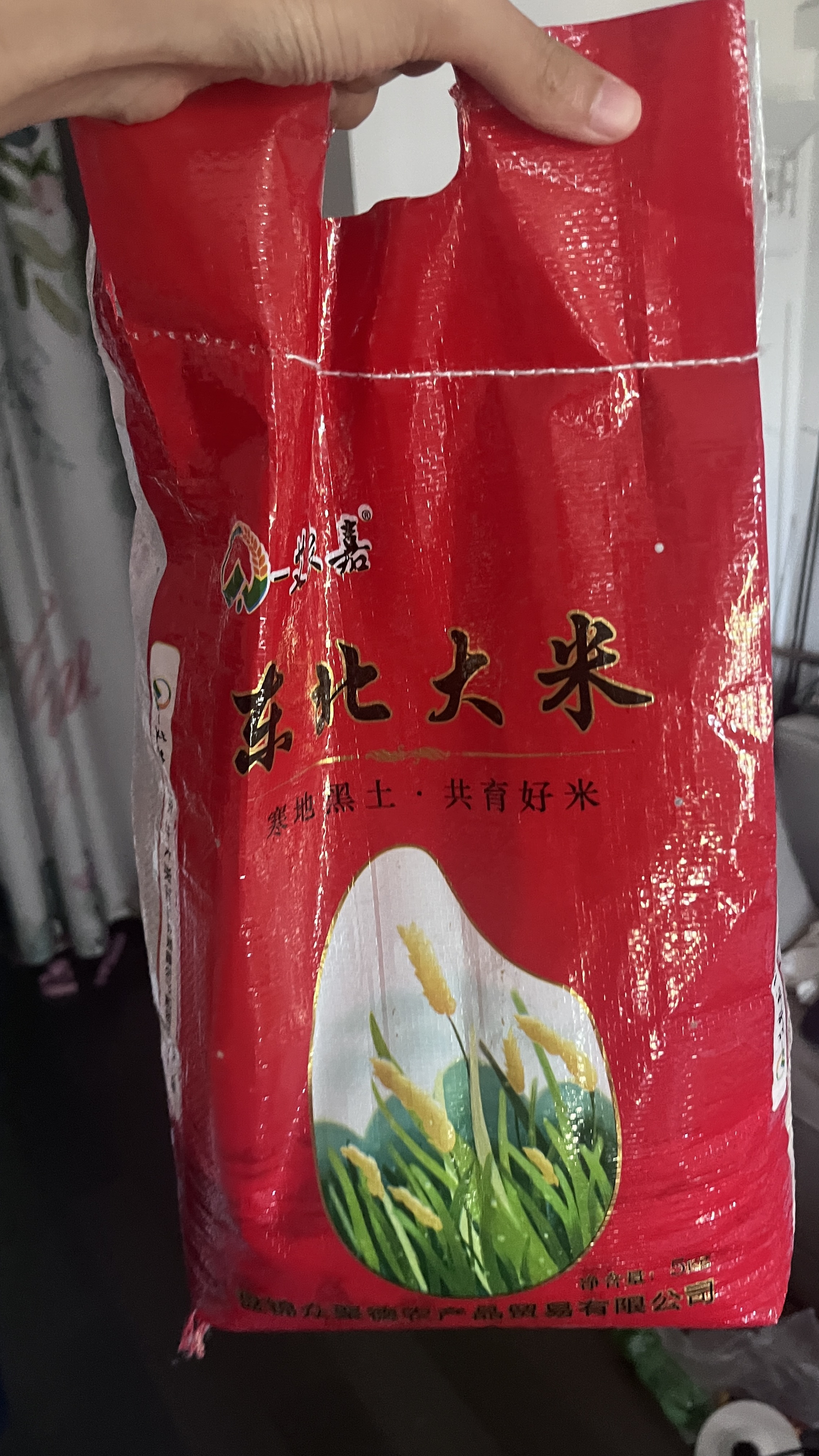 米饭
